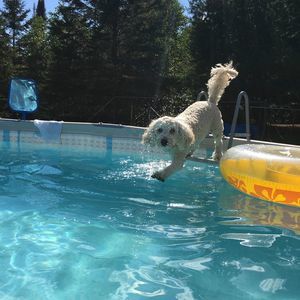 Meet your Posher, Carmen